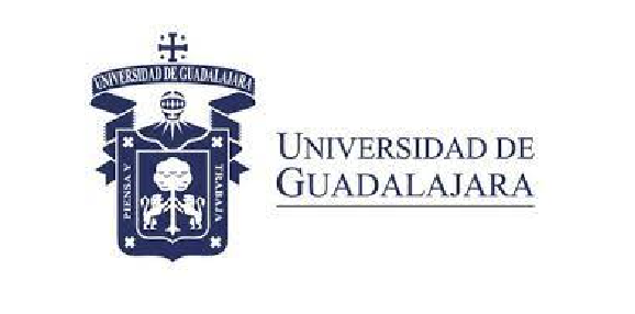 Clientes White Clean 